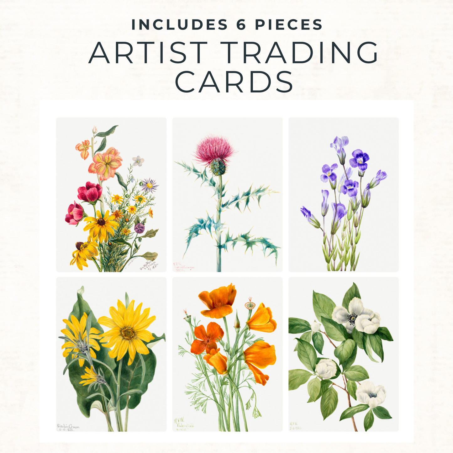Shabby Chic Ephemera Pack – Printable Birds, Butterflies & Floral Cut-Outs for Junk Journals