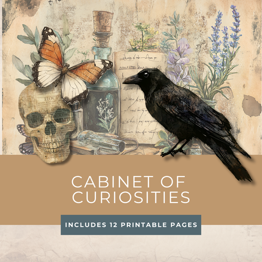 Cabinet of Curiosities Journal Pages – Printable Victorian Collage Papers for Junk Journals & Oddities Art