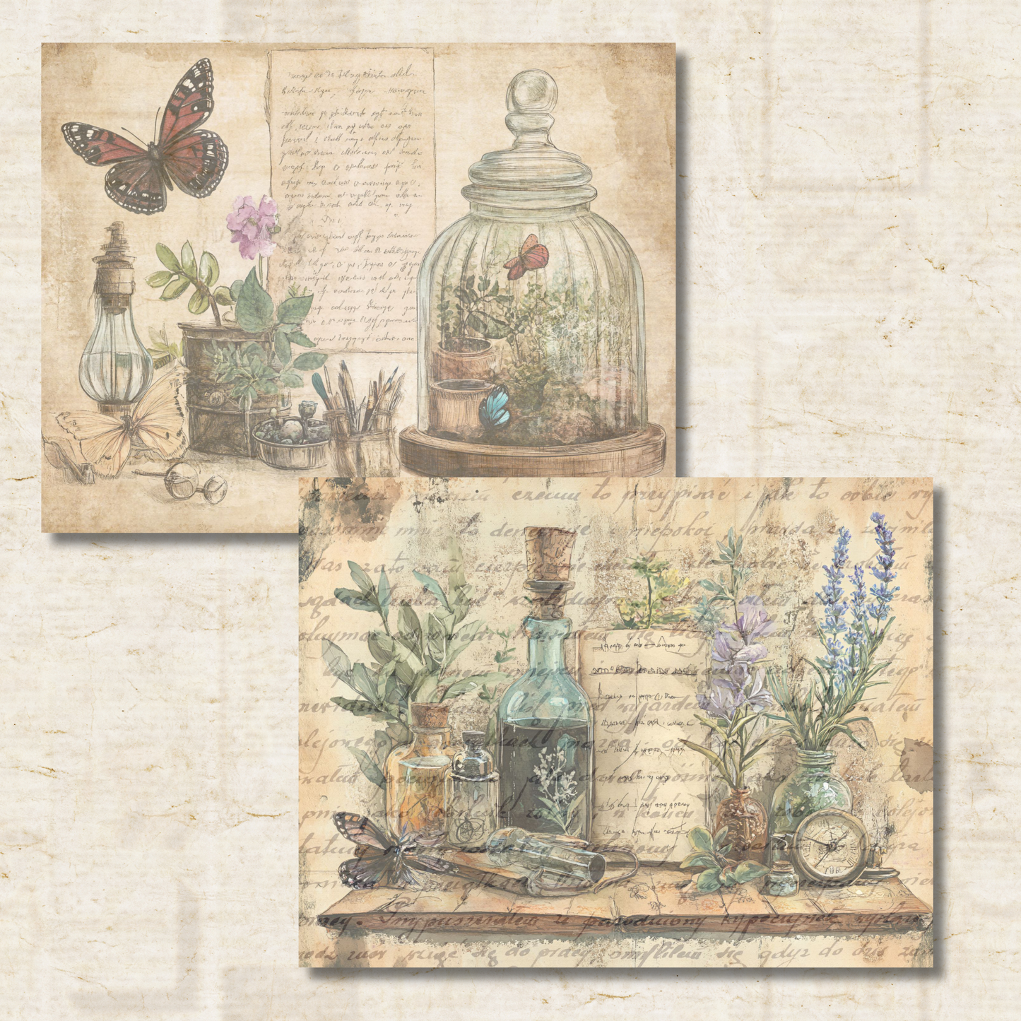 Cabinet of Curiosities Journal Pages – Printable Victorian Collage Papers for Junk Journals & Oddities Art