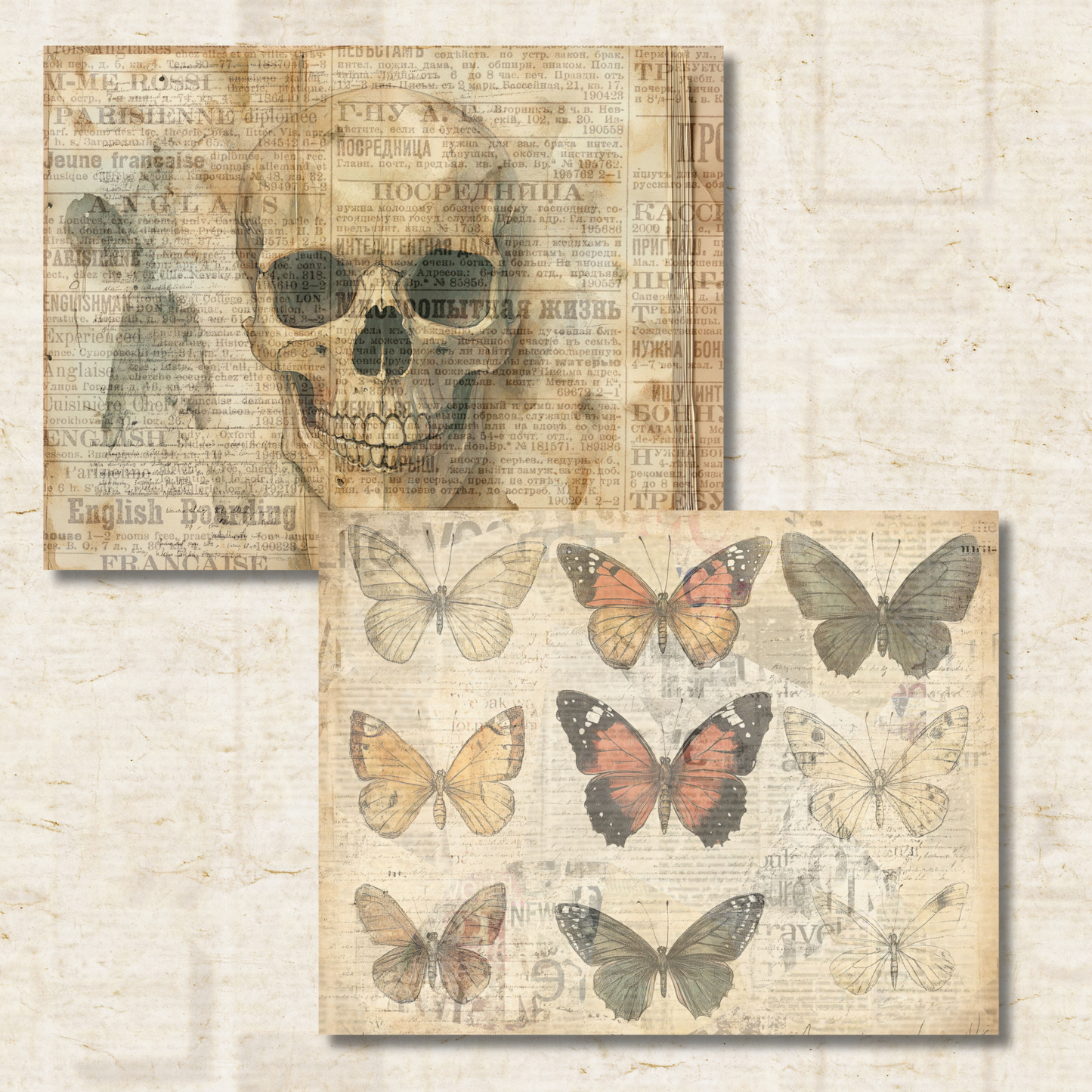 Cabinet of Curiosities Journal Pages – Printable Victorian Collage Papers for Junk Journals & Oddities Art