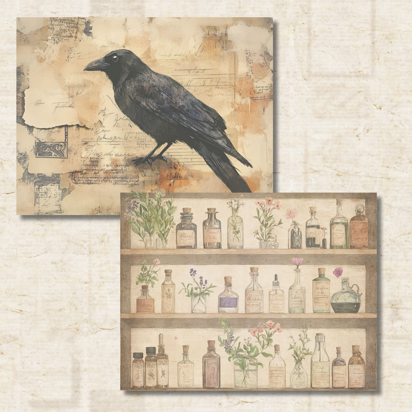 Cabinet of Curiosities Journal Pages – Printable Victorian Collage Papers for Junk Journals & Oddities Art