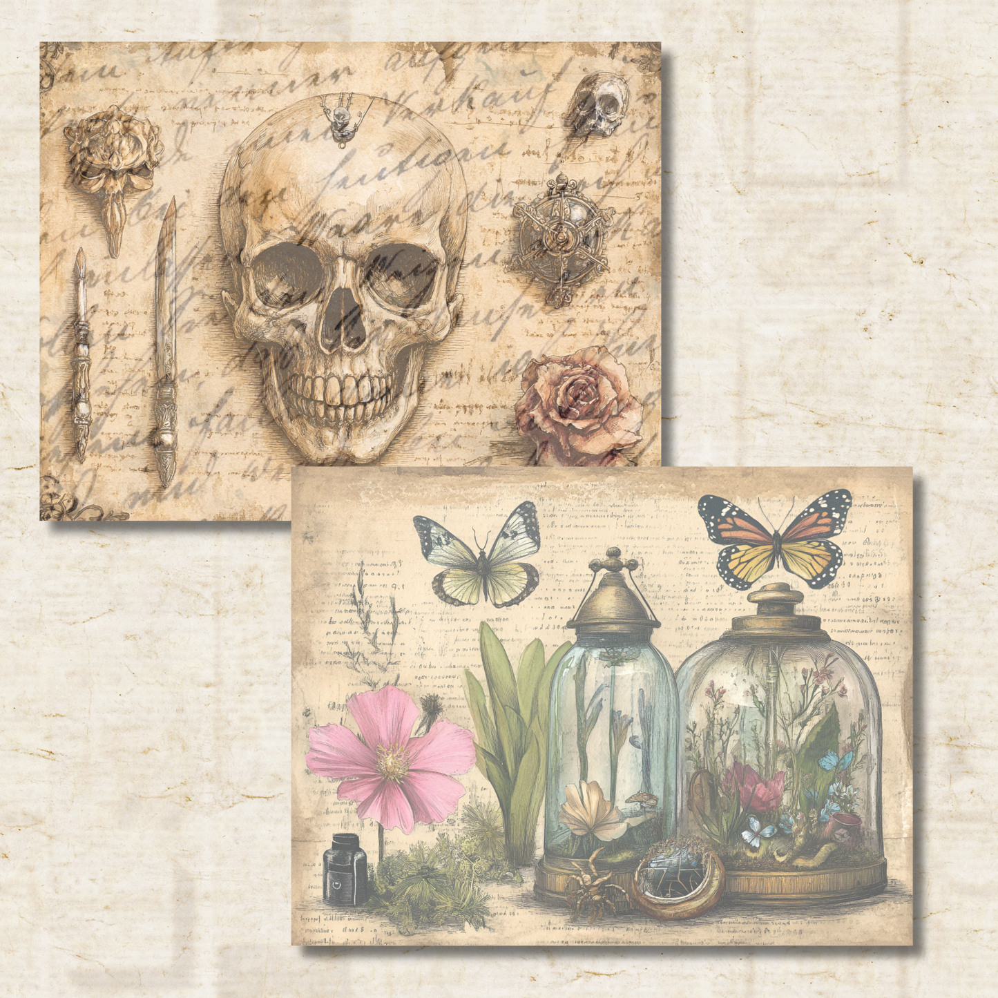Cabinet of Curiosities Journal Pages – Printable Victorian Collage Papers for Junk Journals & Oddities Art