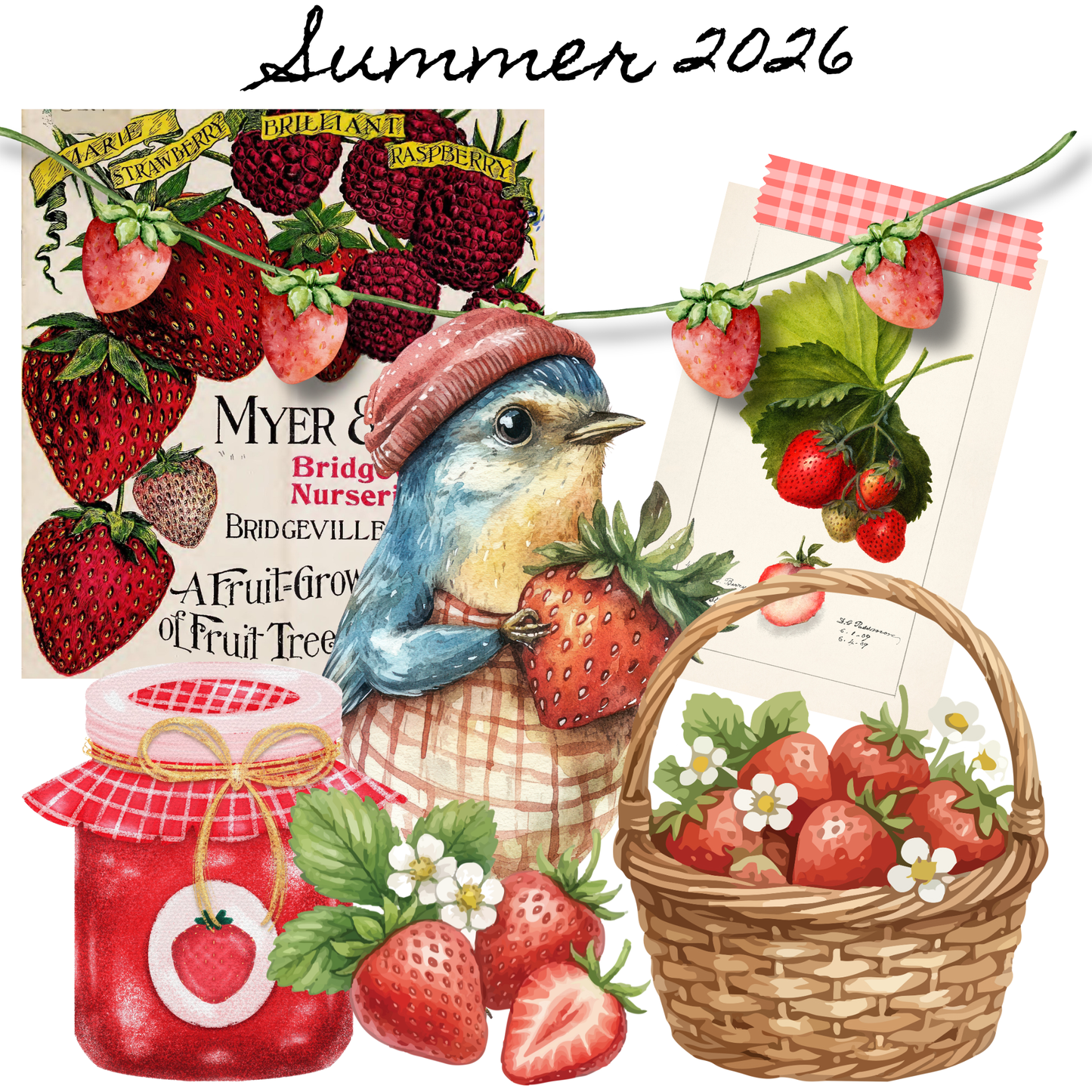 Craft + Collage Club-Digital Box