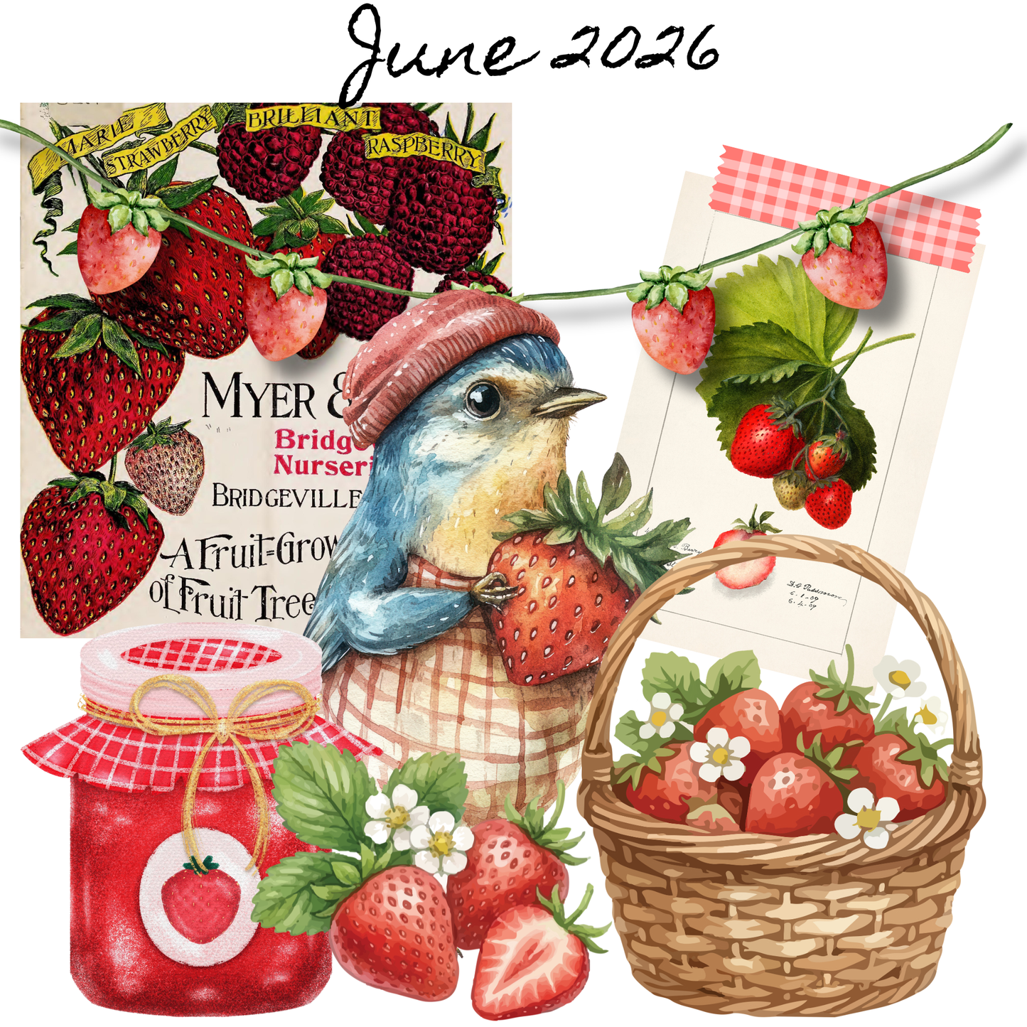 Strawberry Fields Project Sampler
